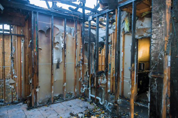 Professional Smoke Damage Removal technician working in Advance, MO